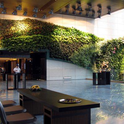 5 Star Hotel Indoor Plants | Inscape Indoor Plant Hire